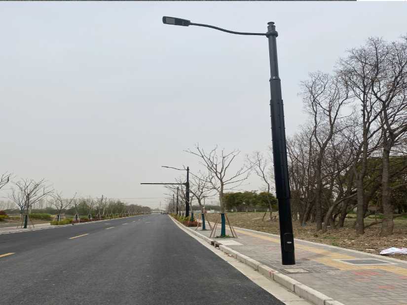 乌翠区上海综合杆 太阳能路灯工程